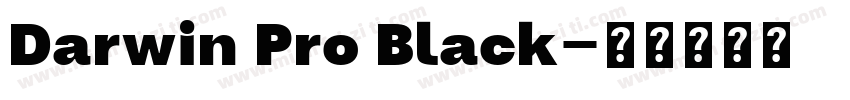 Darwin Pro Black字体转换